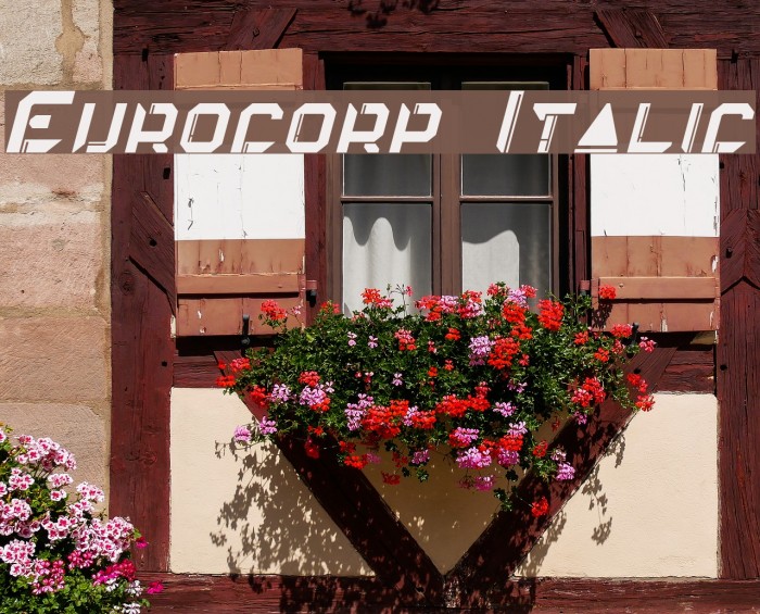 Eurocorp Italic Font examples
