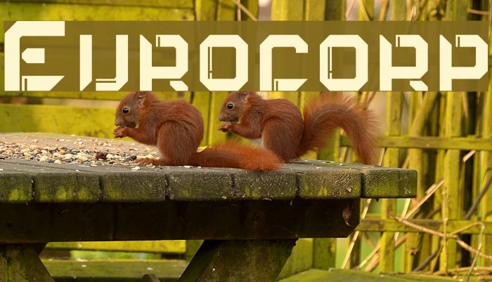 Eurocorp Font examples