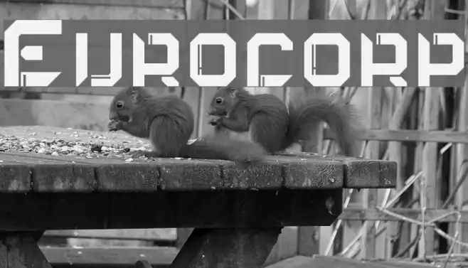Eurocorp Example 1