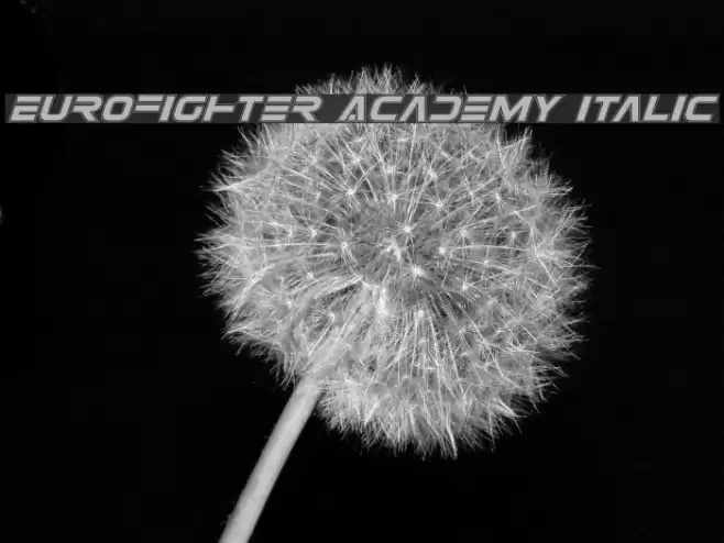 Eurofighter Academy Italic Font examples
