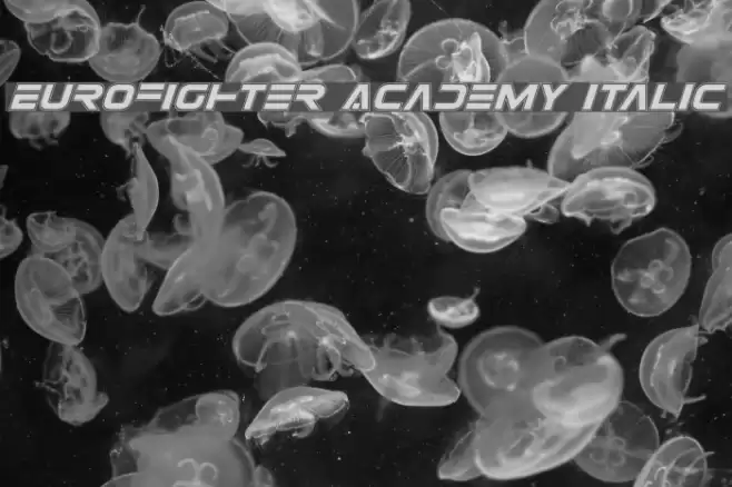 Eurofighter Academy Italic Font examples