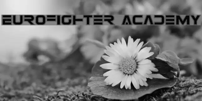 Eurofighter Academy Font examples