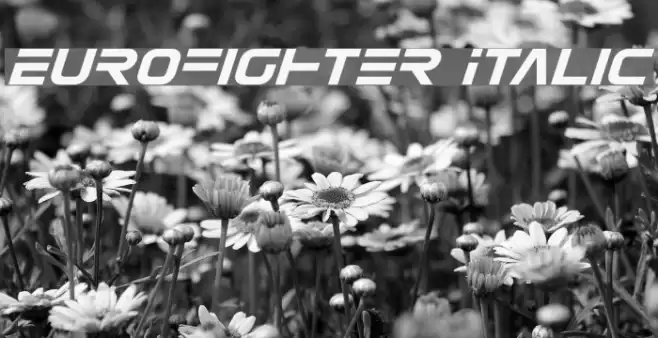 Eurofighter Italic Font examples