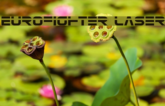 Eurofighter Laser Fuentes examples
