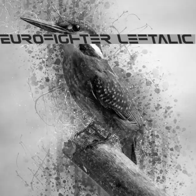 Eurofighter Leftalic Font examples