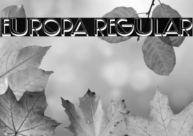 Europa Regular Font examples