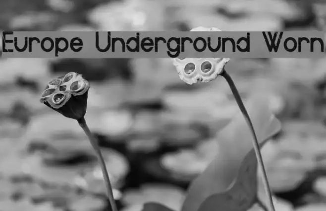 Europe Underground Worn Example 2