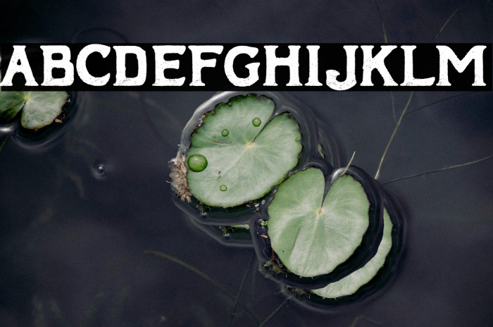 European Denim Brand Example 3