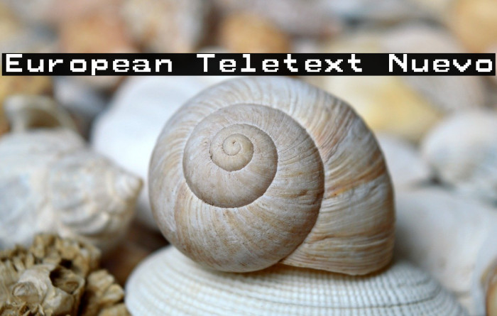 European Teletext Nuevo Example 3