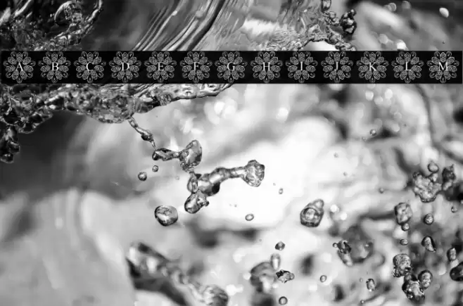 EuropeanMonogram-Regular خط examples