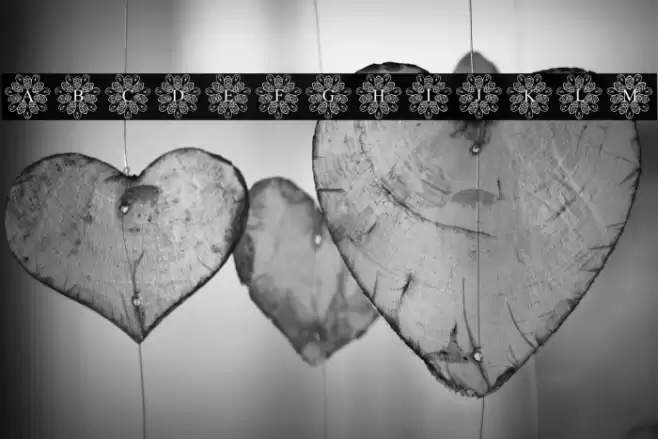 EuropeanMonogram-Regular خط examples