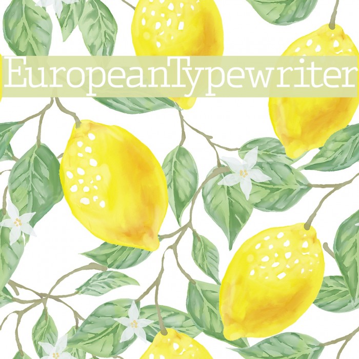 EuropeanTypewriter Font examples