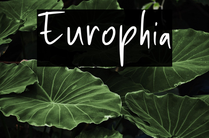 Europhia Example 1