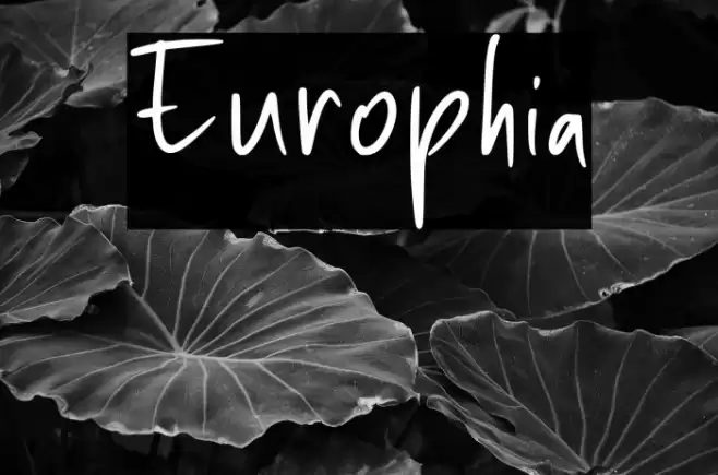Europhia خط examples