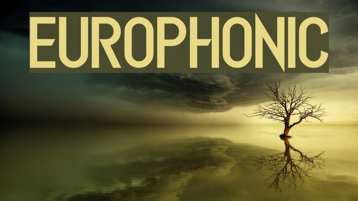 Europhonic Example 2