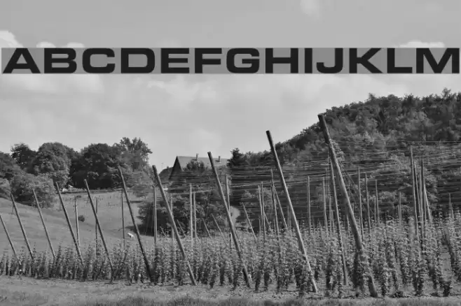 Eurostar Black Extended Font examples