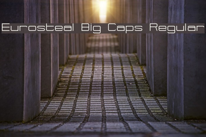 Eurosteal Big Caps Regular Font examples