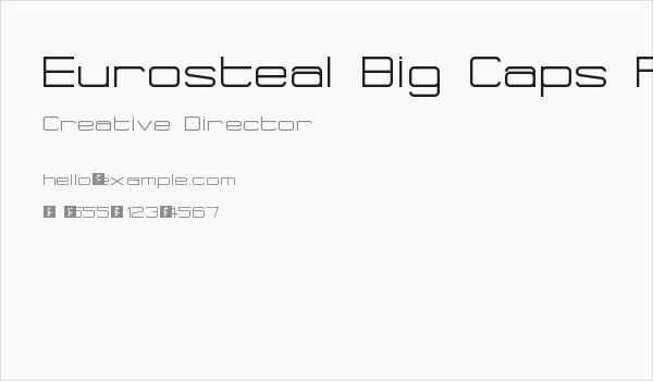 Eurosteal Big Caps Regular Business Card
