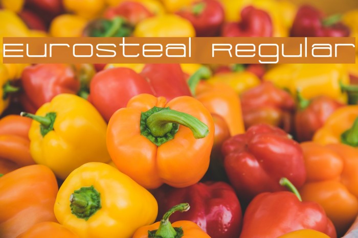Eurosteal Regular Font examples