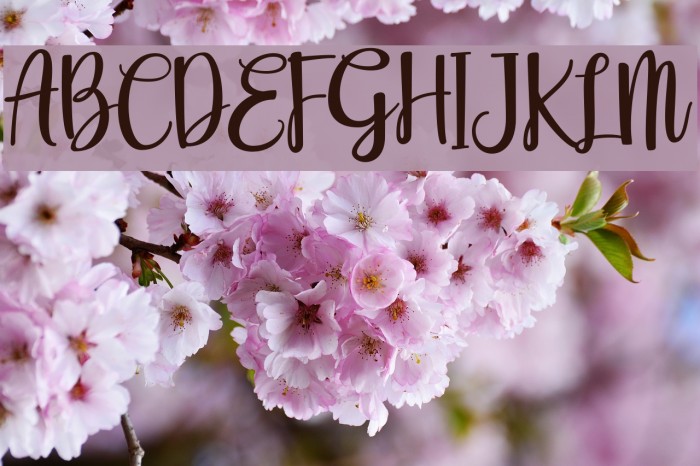 Eurotrophya Example 2