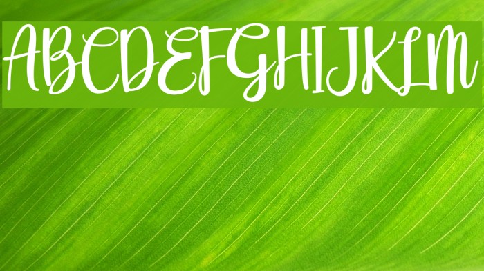 Eurotrophya Example 3