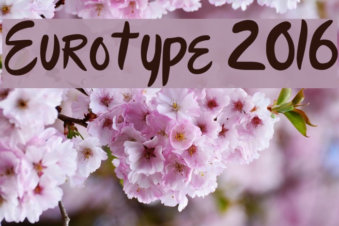 Eurotype 2016 Font examples