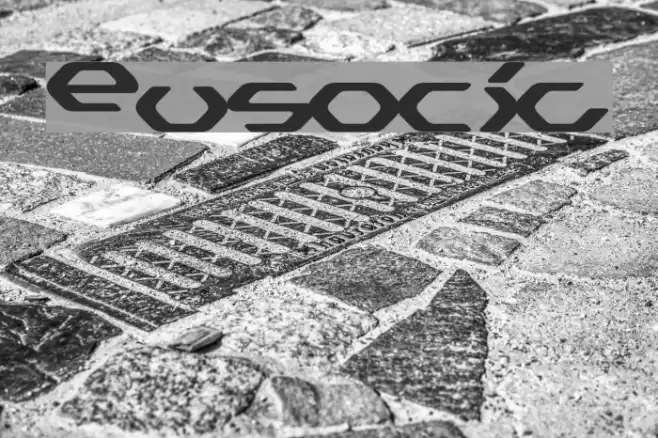 Eusocia Font examples