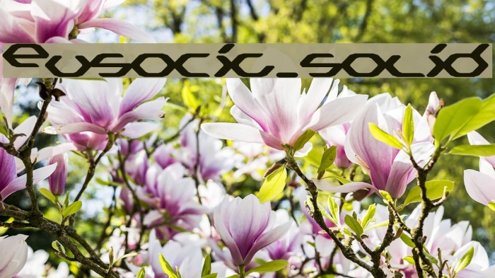 Eusocia_solid Font examples