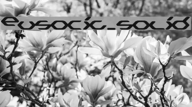 Eusocia_solid Example 1
