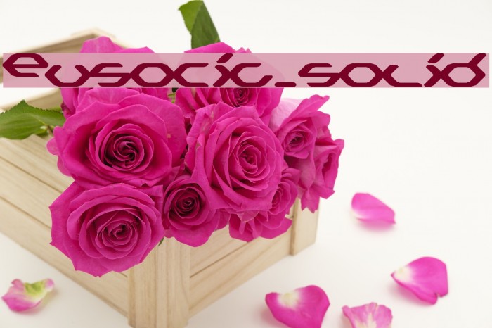 Eusocia_solid Font examples