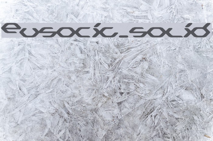 Eusocia_solid Font examples