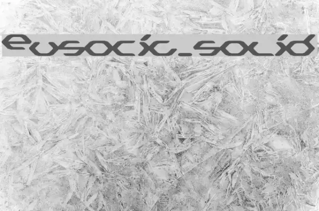 Eusocia_solid Example 3