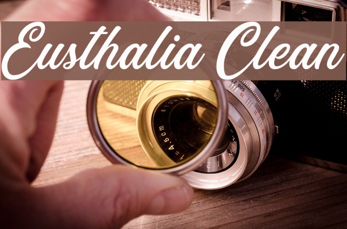 Eusthalia Clean Font examples