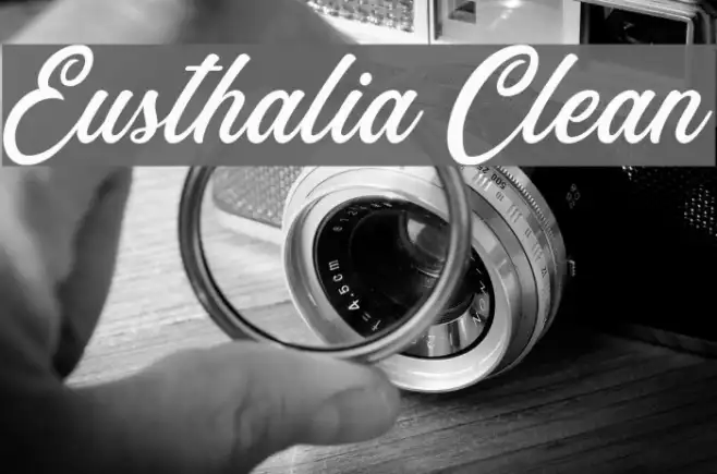 Eusthalia Clean Example 1