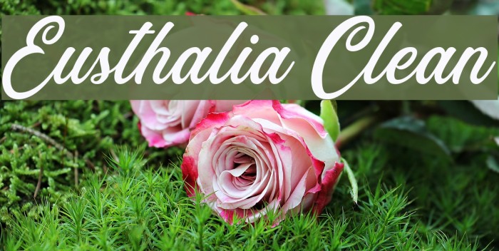 Eusthalia Clean Font examples