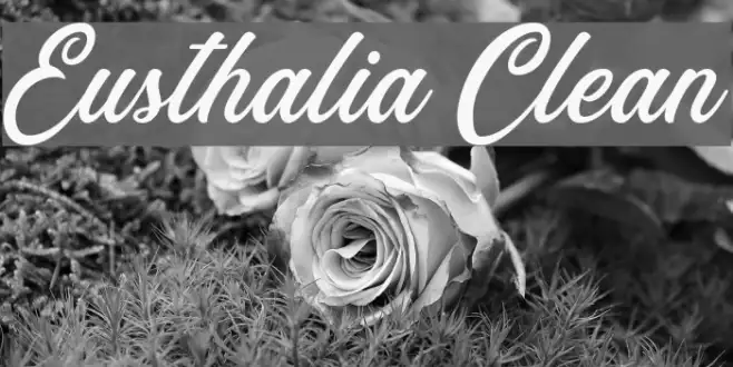 Eusthalia Clean Example 3