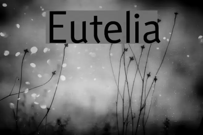 Eutelia Example 1
