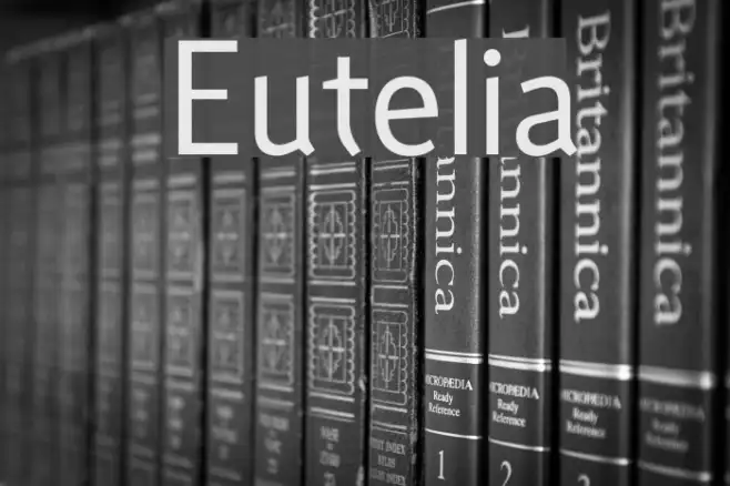 Eutelia Example 2