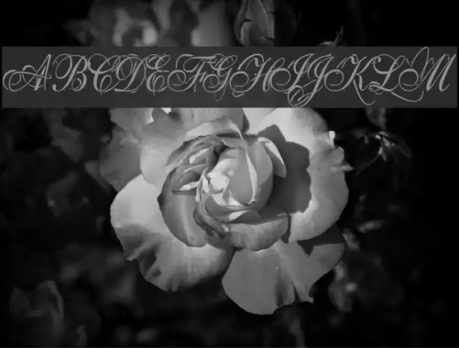 Eutemia I Italic Font examples