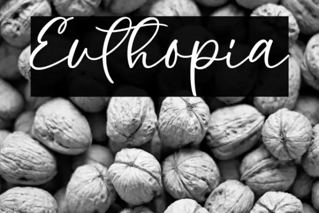 Euthopia Font examples