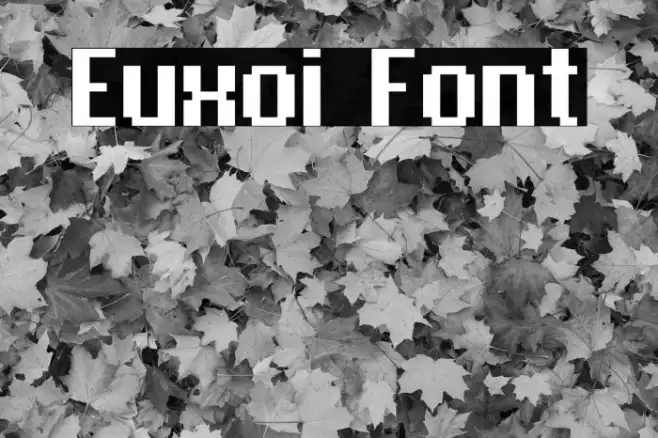 Euxoi Example 3
