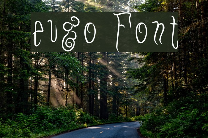 eugo Font examples
