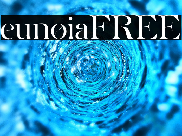 eunoiaFREE Example 1