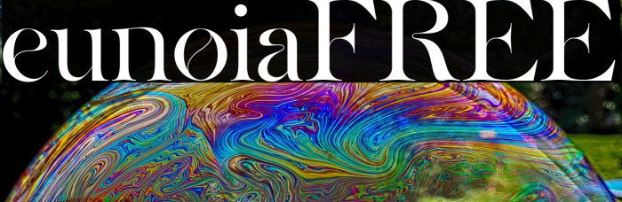 eunoiaFREE Example 2
