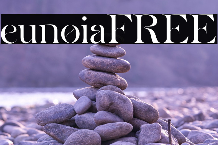 eunoiaFREE Example 3