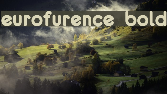 eurofurence bold Font examples