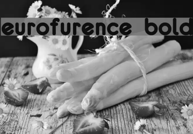 eurofurence bold Шрифта examples