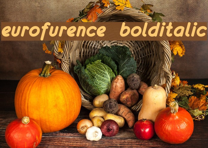 eurofurence bolditalic Font examples