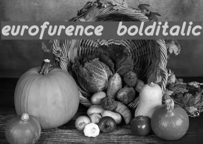 eurofurence  bolditalic Example 2