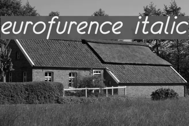eurofurence  italic Font examples